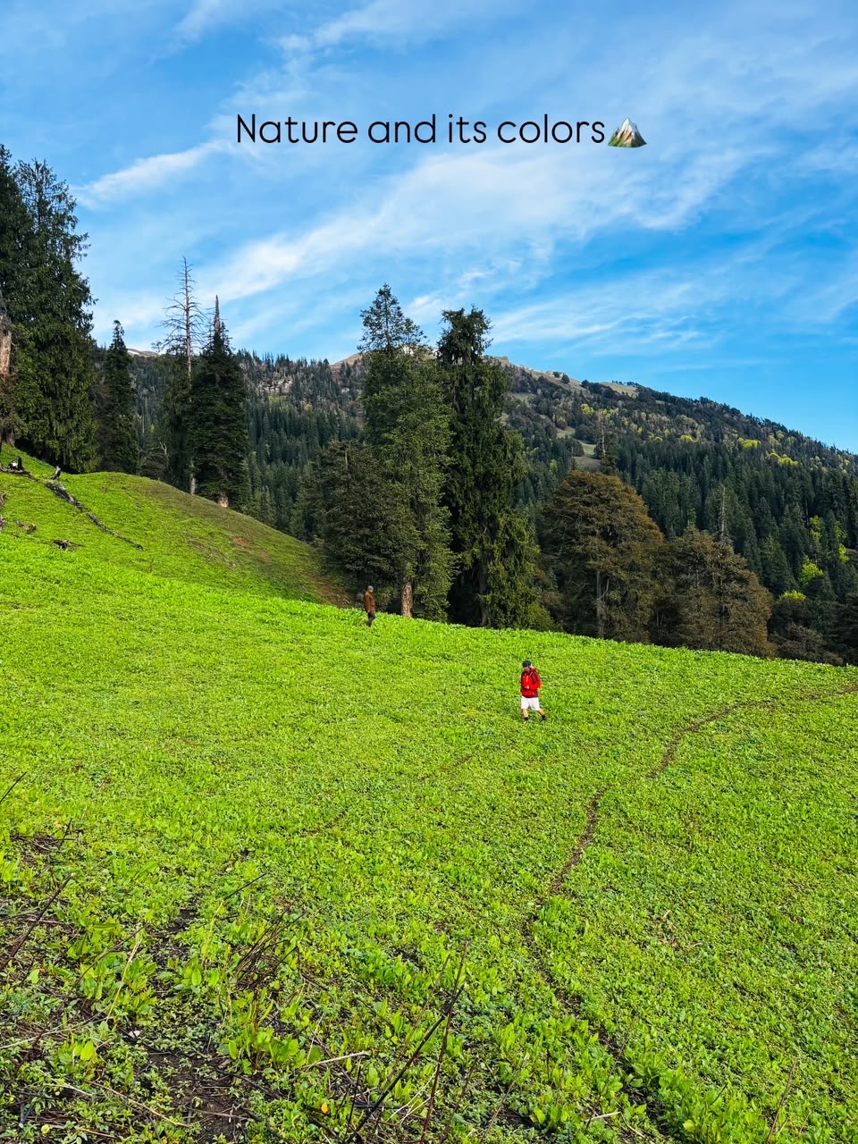 Bhrigu Lake Trek