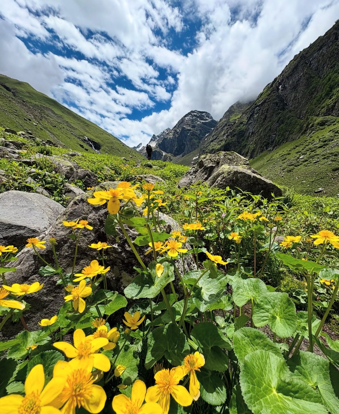 Hampta Pass